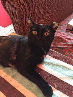 Luna (21135016)