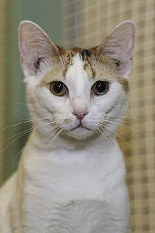 Luna (21234457)