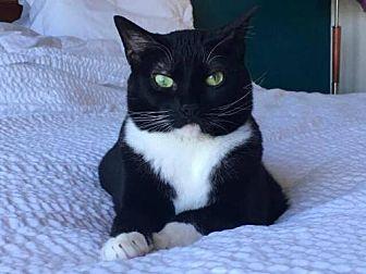 Maggie (14573347)