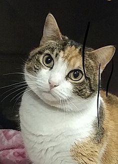 Maggie (21406129)