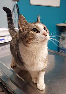 Maisey (21544894)