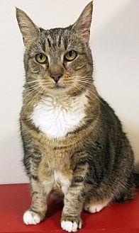 Maisy (21531338)