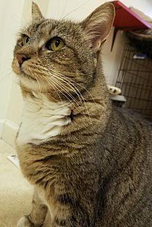 Maisy (21531338)