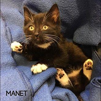 Manet (21595400)