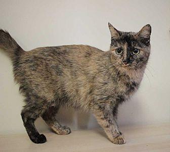 Marjorie (20594885)