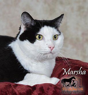 Marsha (20855933)