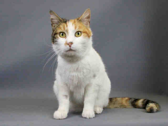 MARY ANN (A106301)