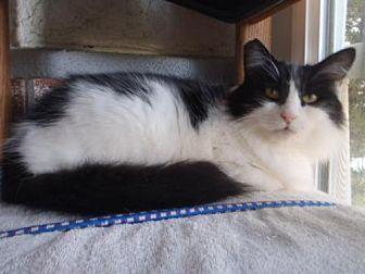 MaryAnn (21255158)