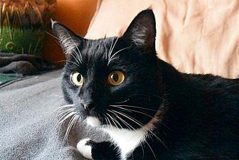 Maxwell (20682708)