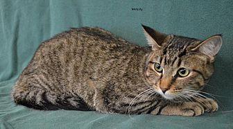 Melody (20746525)