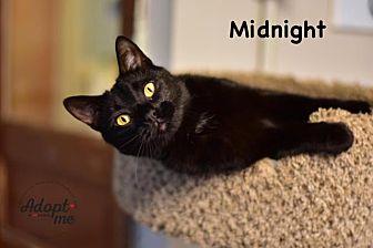 Midnight (21076153)