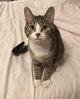 Millie Bobbi (21422582)