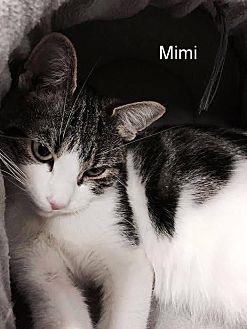 MIMI (20807612)