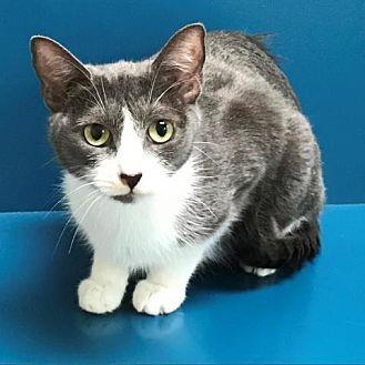 Mimi (bonded (21594142)
