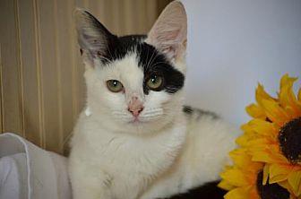 Misha (19538090)