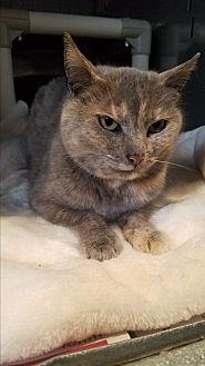 Mishu (20921945)