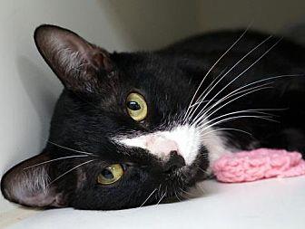 Mishu (21426178)