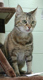 Miss Bit (21164737)