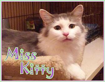 Miss Kitty (19570040)