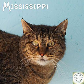 Mississippi (16411755)