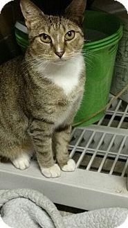 Missy (18823440)