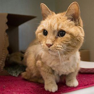 Missy (21182529)