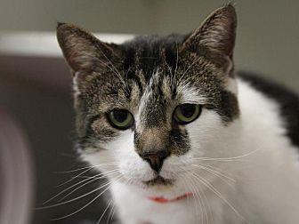 Mittu (21605130)