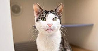 Mitty (21585431)