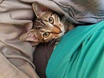 Mitzy (21522506)