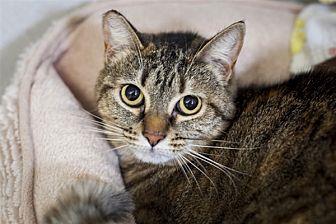 Moxie (21379025)