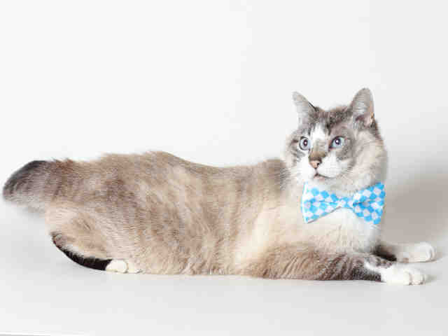MR MUDD (A120385)