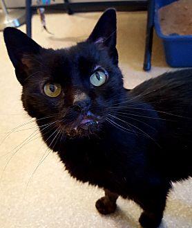 Mr Wiggles (21306435)