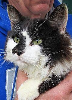 Mr. Fuzz (21364726)