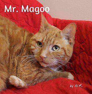 Mr. Magoo (21027299)