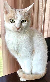 Muffy (21457574)
