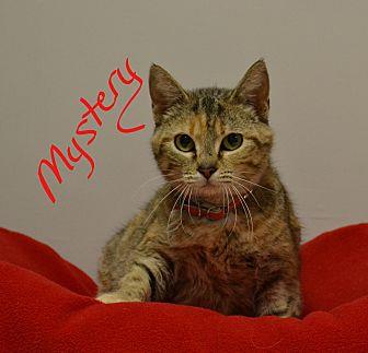 Mystery (21147415)