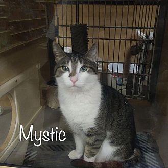 Mystic (21496862)