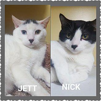 Nick and Jet (21301705)
