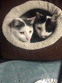 Nina and Bel (21426183)