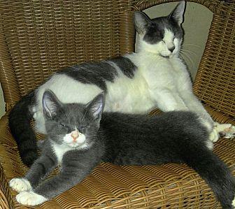 Nina and Eva (18278420)