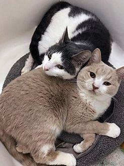 Nina & Tommy (20621399)