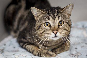 Noah (21504088)