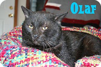Olaf (10752110)