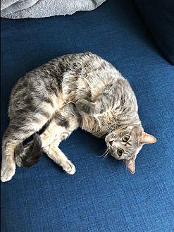 Oliver (20831407)
