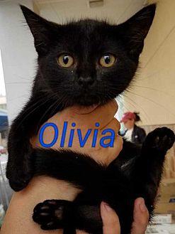 Olivia (21550041)