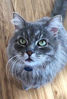 Oscar (20122244)