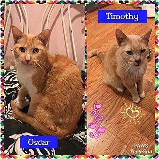 Oscar and Ti (21218907)