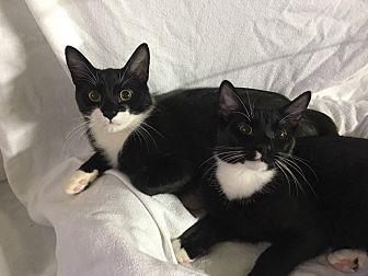 Otis and Mil (21185945)