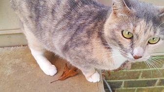 Peaches (20070864)