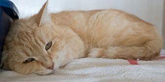 Peaches (20958044)